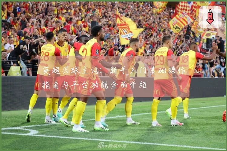 英超买球主站：新手入门基础操作指南与平台功能全面介绍